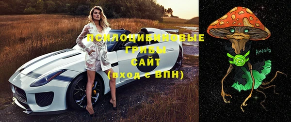 шишки Вяземский